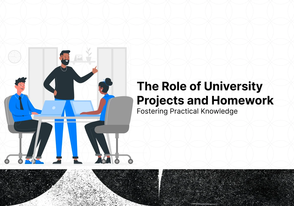 The Role and Effectiveness of University Projects and Homework